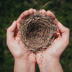 Small bird's nest. Bird's nest in women's hands