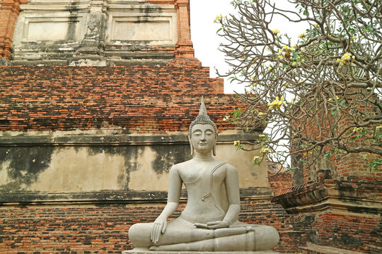 Impressive Buddha Image in Wat Yai Chai Mongkhon Ancient Temple, Ayutthaya Historical Park, Thailand