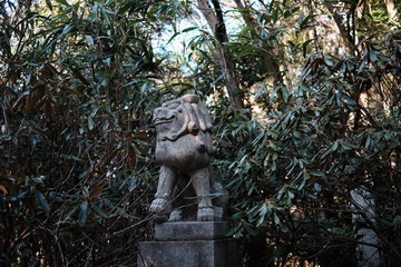 像