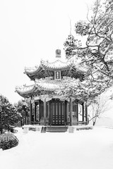 Ancient pagoda under the snow - High Key in Beijing, China