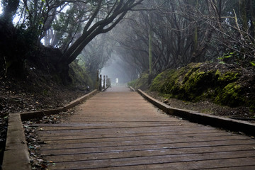 path of the senses in Anaga.