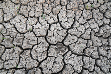 dry cracked earth  Dry and broken soil Lack of water, dead trees