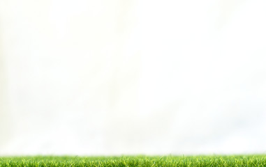 Fototapeta na wymiar Artificial grass on a white background