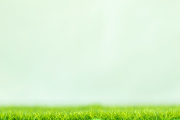 Plakat Artificial grass on a white background