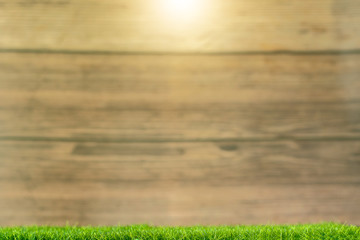 Spring fresh green grass on a wooden fence background