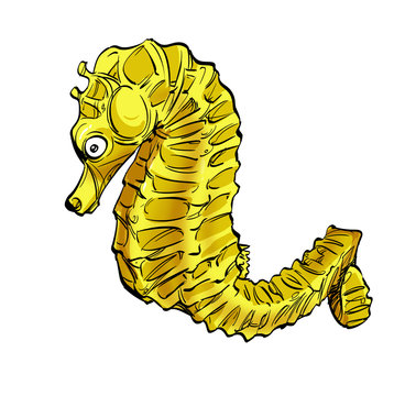 Bright yellow colored seahorse. Isolated on a white background.