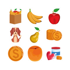 fruits and money related icons set, colorful design