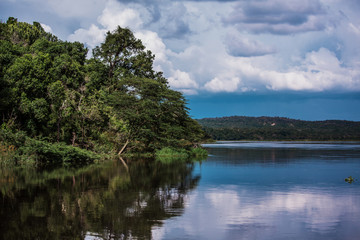 Reflection of lush vegetation in the waters of the Nile river. Blue horizon and clouds