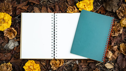 A blank notebook placed on a yellow, red, orange leaf And autumn dried flowers in the autumn nature background top view