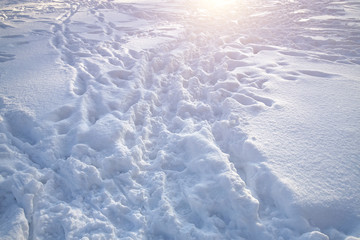 Footprints of people in the snow at sunset.