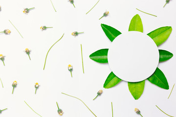 paper circle with green leaf on right and small flower