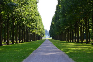  the park of Kassel, Germany