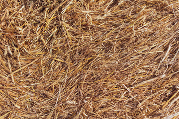 Stack of dry hay as an abstract background