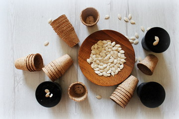 Gardening and plant growing concept . Pumpkin seeds and peat pot for growing seedlings on a whitek background.