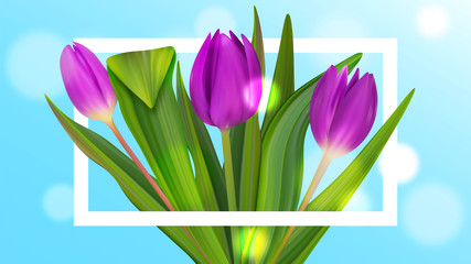 Hello May spring tulip banner. Cute bouquet colorful banner. Womans nice background.