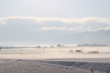 Fototapeta na wymiar 放射冷却現象で霧に包まれた雪国の朝