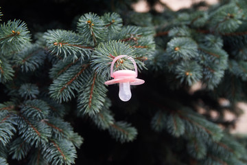 Baby pink pacifier hanging on the branch of the Christmas tree . Christmas tree decoration.