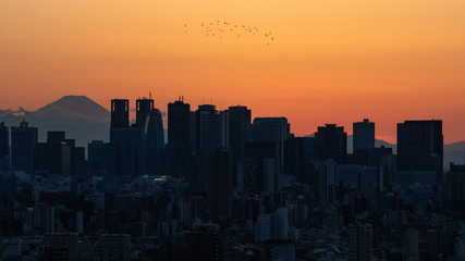 Fototapeta na wymiar 夕焼けを背景に文京区から見た新宿方面のビル群と鳥の群れ