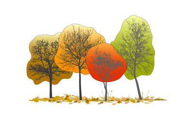 landscape of colored trees and fallen leaves on a white background