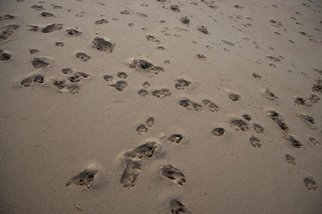 footprints on the sand background