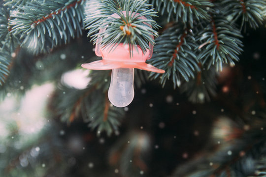pacifier hanging on the branches of the tree. Snowflakes. Snow is falling. The birth of a child on new year. Background. Copy space.