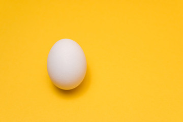 one egg in center of yellow background with dramatic light. design idea