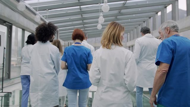 Rear view of group of doctors walking in corridor on medical conference.
