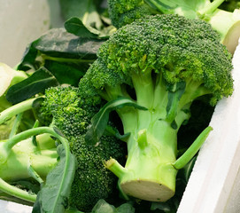 Broccoli, fresh crop, sold in a supermarket