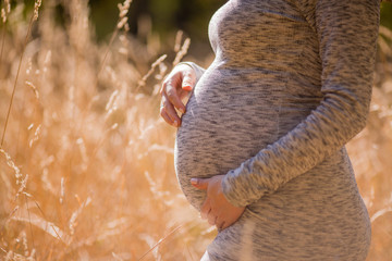 close-up of the belly of a pregnant woman standing in a wheat field