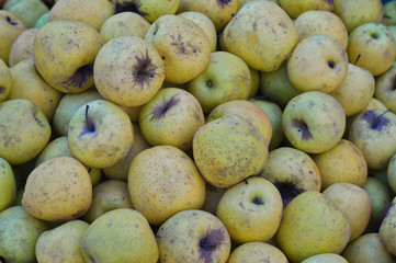 Vegetables and fruits at the markets including apples