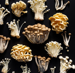 A top view of a batch of variety kinds of mushrooms laid on a black background