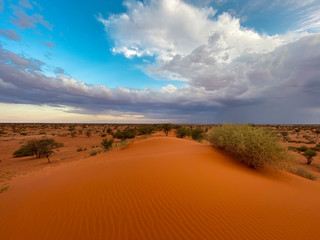 Fototapeta na wymiar Kalahariwüste, Namibia