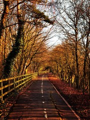 Long footpath 