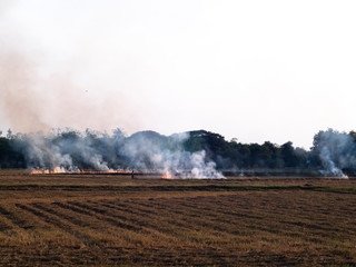 Slash-and-burn agriculture. Fire-fallow cultivation. Fire-fallow cultivation. AIR QUALITY POLICY .clean air problem. Air pollution PM2.5.Open agricultural burning | Climate & Clean Air Coalition