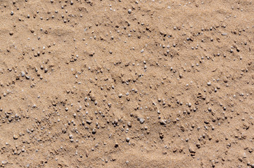 Sand and small shells texture