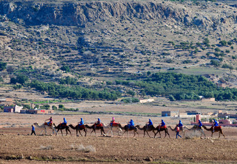 Convoy of tourists on camles led by berber in Agafay desert with mountains in the background