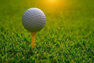 Golf ball on tee in the evening golf course with sunshine.