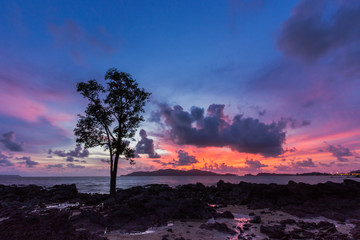 dramatic sunset over sea and tree on beach 