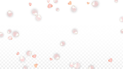 Vector Realistic Petals and Hearts Confetti. Flying Sakura and Hearts on Transparent Background. Wedding Invitation Background. Spring Romance Poster. Vector Illustration for Anniversary Design.