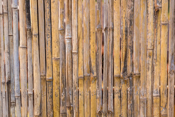Bamboo fence texture background.