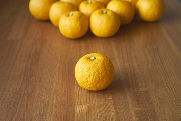ジャバラ（和歌山県原産の柑橘）強烈な酸味と苦味がある。