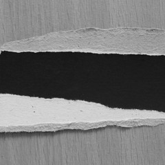 torn paper texture background, copy space.
