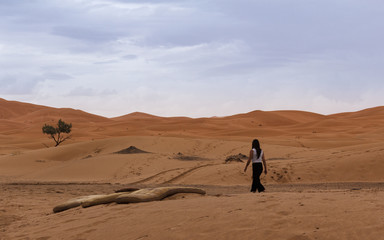 Fototapeta na wymiar view of the desert in morocco