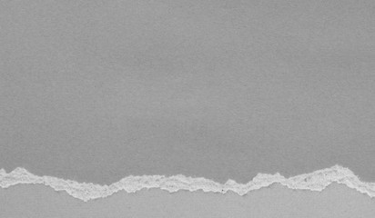 Obraz premium torn paper texture background, copy space.