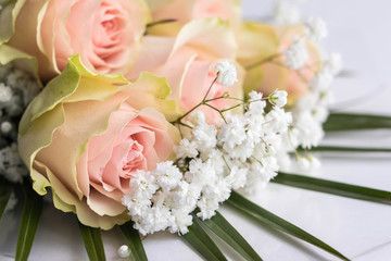 Beautiful pink and white roses on white backgraund.side view