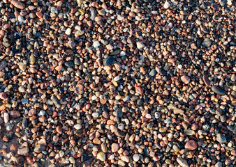 Pebble sediment on beach.