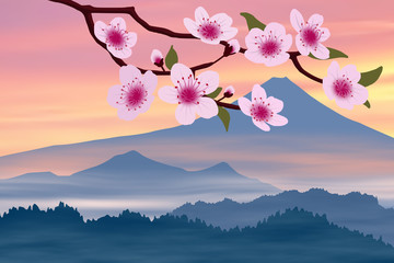 Sakura blossom on the background of Mount Fuji. Hanami festival in Japan. Vector illustration, EPS10.