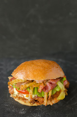 Hamburguer in Black Background