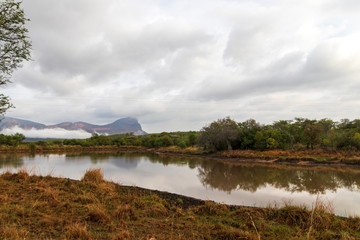 African Savanna Landscape, Natural Park