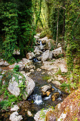 River stream in the natural reserve of Morigerati